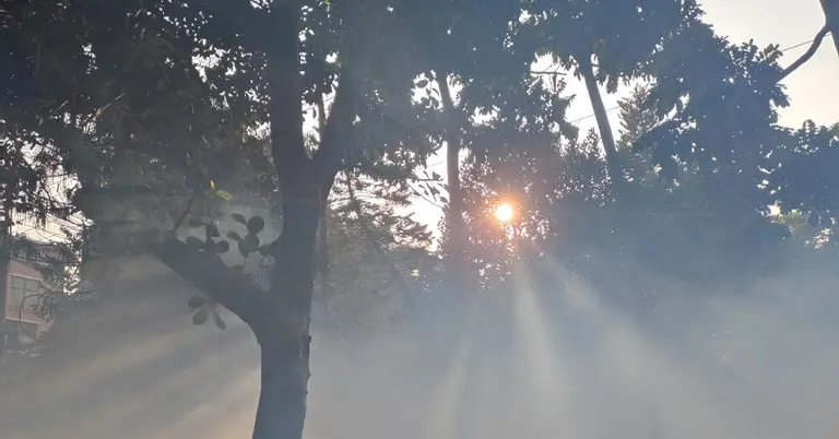 শীতের সকাল